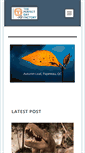 Mobile Screenshot of perfectdayfactory.com
